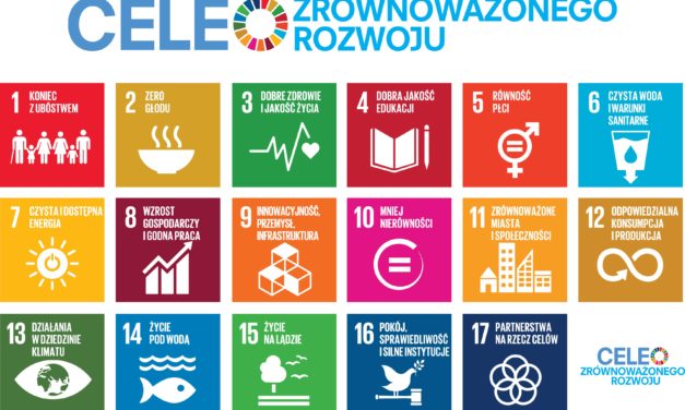 Globalne cele zrównoważonego rozwoju ONZ a zarządzanie miastami